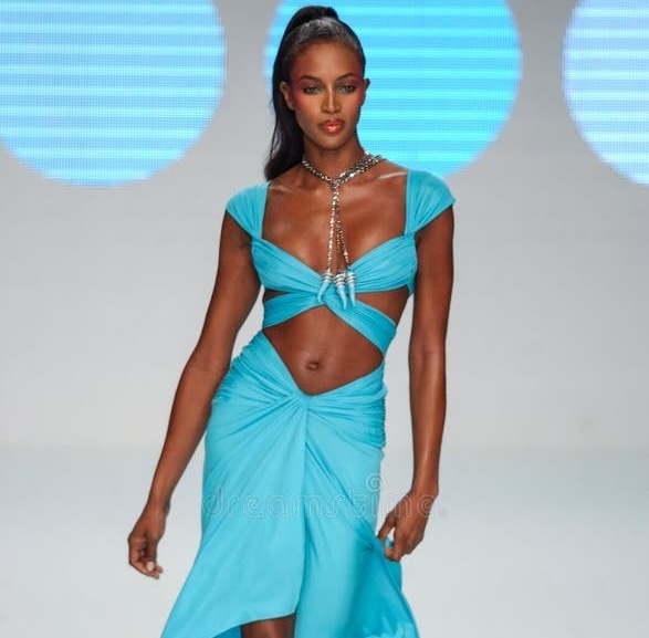 Naomi Campbell and the Blue Dress